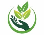 cropped cropped or 1.jpg